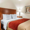 Отель Quality Inn & Suites, фото 7