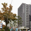 Отель Uljiro Co-Op Residence, фото 1
