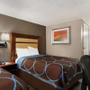 Отель Super 8 Charlotte Airport North, фото 12