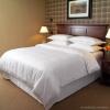 Отель Sheraton Rockville Hotel в Роквилле