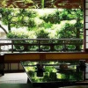 Отель Yugawara Hot Spring Inn Fujitaya, фото 14