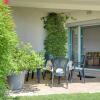 Отель Villa Ana, фото 14