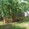 Отель House With 2 Rooms in Port-louis, With and Enclosed Garden - 800 m Fro, фото 13