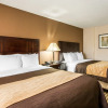 Отель Comfort Inn, фото 7