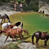 Отель Ferme Equestre Les Coccinelles в Региональном природном парке Любероне