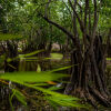 Отель Cenote Popol Vuh, фото 32