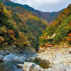 Отель Iyaonsen, фото 26