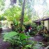 Отель Tropical Sands Dominical Eco Inn, фото 47