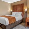 Отель Comfort Suites Terre Haute University Area, фото 7