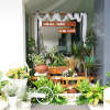 Отель Selecta Hotel Batu Malang - Adults Only, фото 14