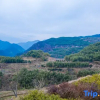 Отель Floral·Hangzhou Basuo Homestay, фото 9