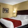 Отель Comfort Inn & Suites Watertown - 1000 Islands, фото 23