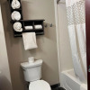 Отель Quality Inn & Suites, фото 9