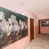 Отель Malik Guest House, фото 9