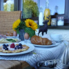 Отель Montara Suites, фото 12