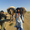 Отель Chegaga Berber Camps, фото 20