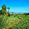 Отель MERIDIAN AC VILLA - Besides Valley View & Strawberry Farms, фото 27