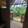 Отель Banana Grove Backpackers Inn, фото 31