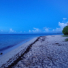 Отель Villa Coco Paradise, фото 8