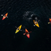 Отель Fiordland Discovery, фото 15