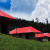Отель Chopta Mount Holiday Camp & Resort, фото 13