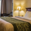 Отель Comfort Inn & Suites Diamondale – Lansing, фото 45