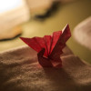 Отель ORIGAMI STAY -Taishocho-, фото 20