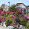 Отель Haemaru pension, фото 5
