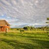 Отель Njovu Park Lodge, фото 19