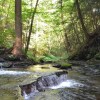 Отель Tentrr - Hemlock Gorge Hideaway, фото 6