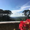 Отель Hello Hostel Gramado, фото 1
