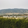 Отель Le Fraine Agriturismo & Olives Glamping, фото 12