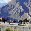 Отель Cold Desert Camp, фото 11