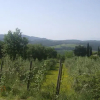 Отель La Cappella del Chianti, фото 6