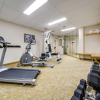 Отель Monte Carlo Inn - Brampton Suites, фото 30