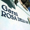 Отель Garni Rosa Delle Alpi, фото 1