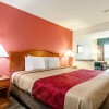 Отель Econo Lodge Inn & Suites, фото 29