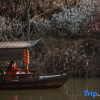 Отель Hangzhou Shuimo Zhuang Private Home Forest Hotel (Chaoshan Scenic Area), фото 8