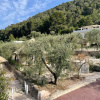 Отель HMO Glamping & Suites in Vignanotica, фото 24