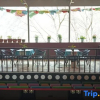 Отель Danba Time Starry Sky Guesthouse, фото 20