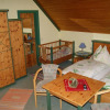 Отель Alpengasthof Sabathyhütte, фото 4