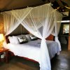 Отель Little Africa Safari Lodge, фото 10