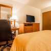 Отель Quality Inn, фото 5