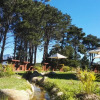 Отель Topiary Vineyard Cottages, фото 20