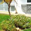 Отель Playmon Park B, фото 3