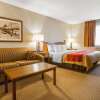 Отель Quality Inn, фото 6
