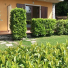 Отель Villa Girasole B&B, фото 1