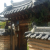 Отель Edam Hanok, фото 9