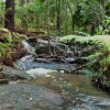 Отель Noosa Hinterland Retreat For Total Isolation, фото 13