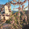 Отель Torre Bruno, фото 8